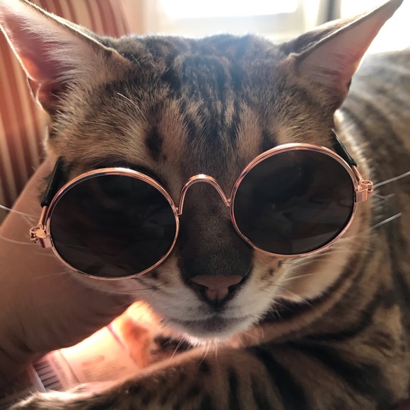 Meet your Posher, Anita - Picture 1 of 1